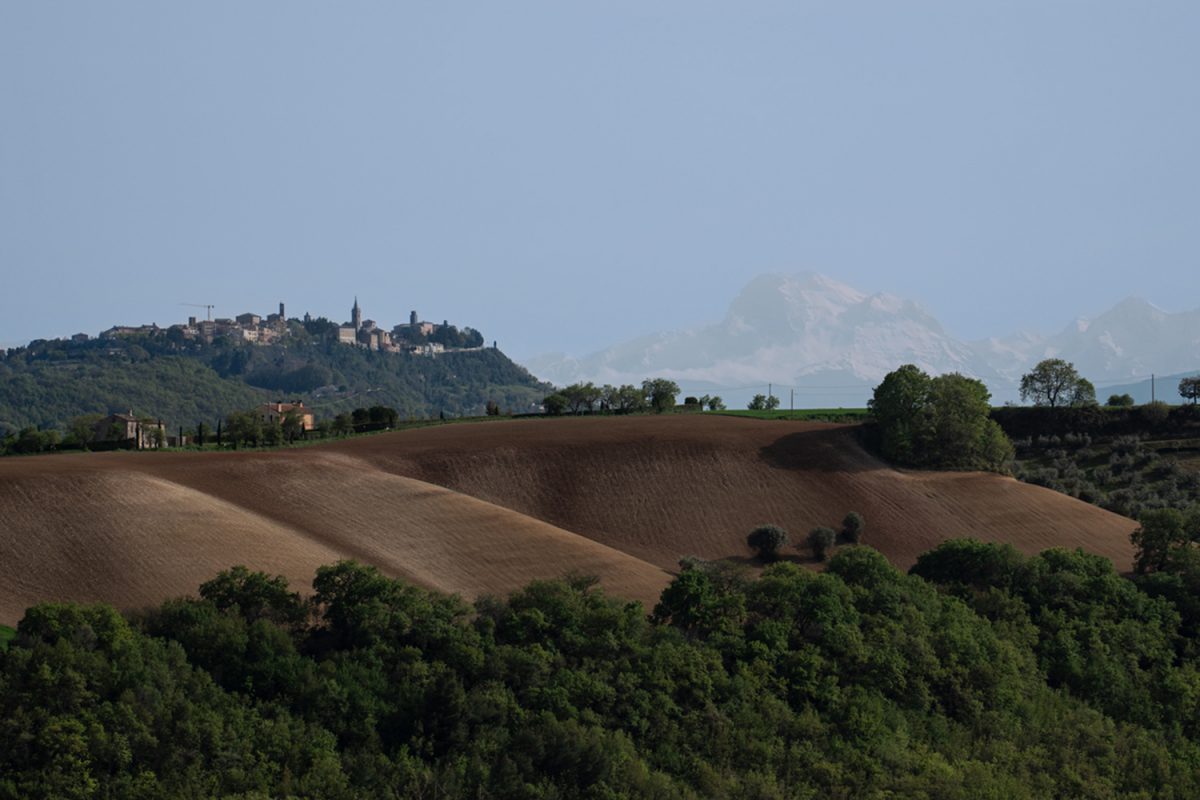 MArche_Landscape_Martina-Dittrich